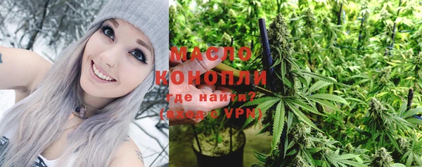 индика Новокубанск