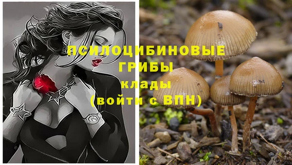 гашик Балахна