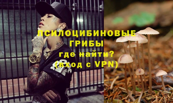 apvp Балабаново