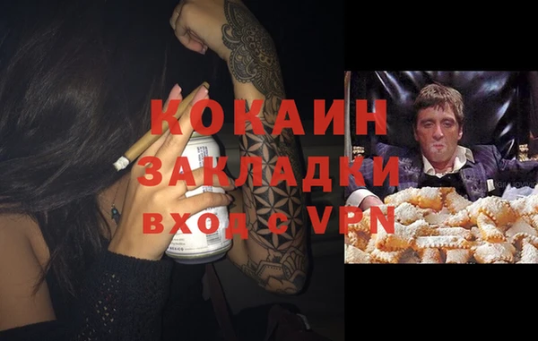 гашик Балахна