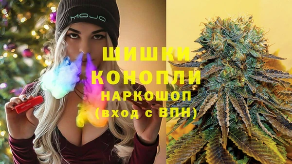 гашик Балахна