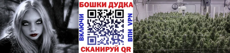 Шишки марихуана сатива  блэк спрут сайт  Заводоуковск 